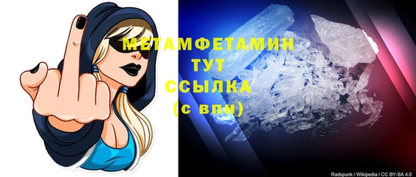 прущие грибы Абдулино
