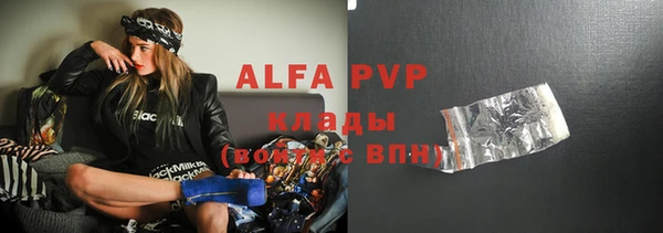 прущие грибы Абдулино