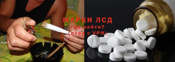 прущие грибы Абдулино
