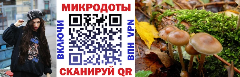 блэк спрут как зайти  закладка  Чита  Галлюциногенные грибы ЛСД 