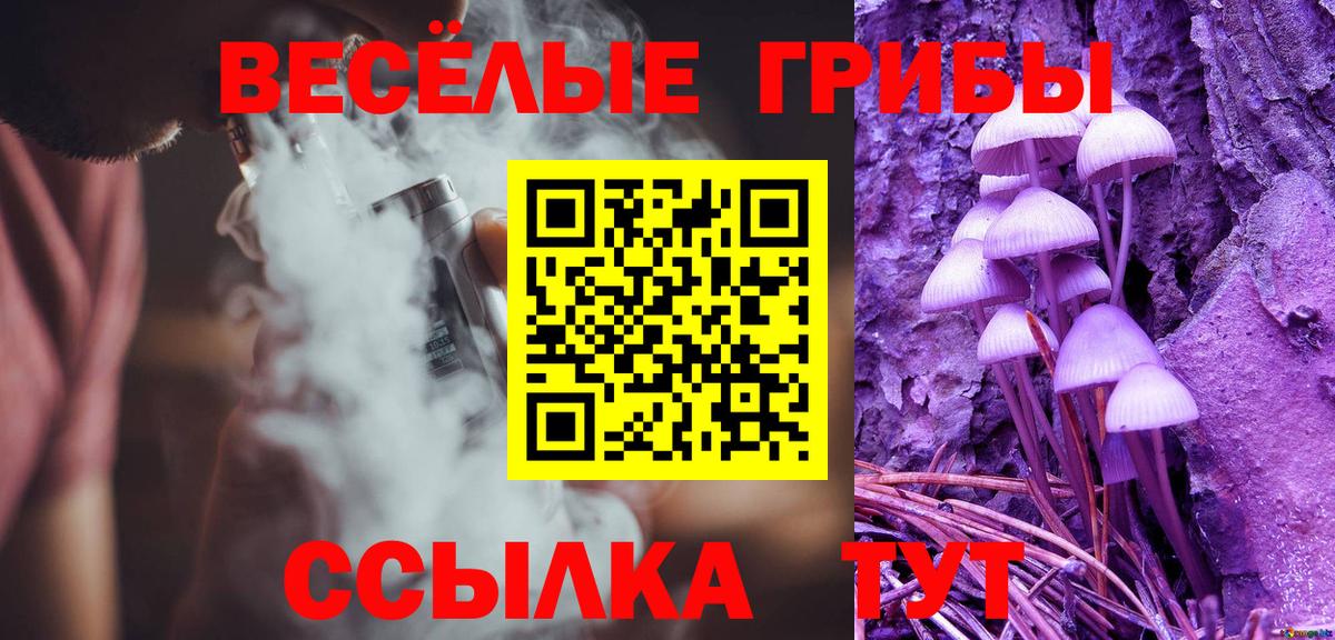 Галлюциногенные грибы Psilocybine cubensis Чита