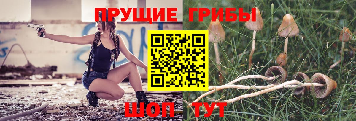 Псилоцибиновые грибы мицелий  Вход с VPN  где продают наркотики  Чита 