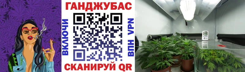 Бошки Шишки Bruce Banner  мориарти какой сайт  Чита  купить наркотик 